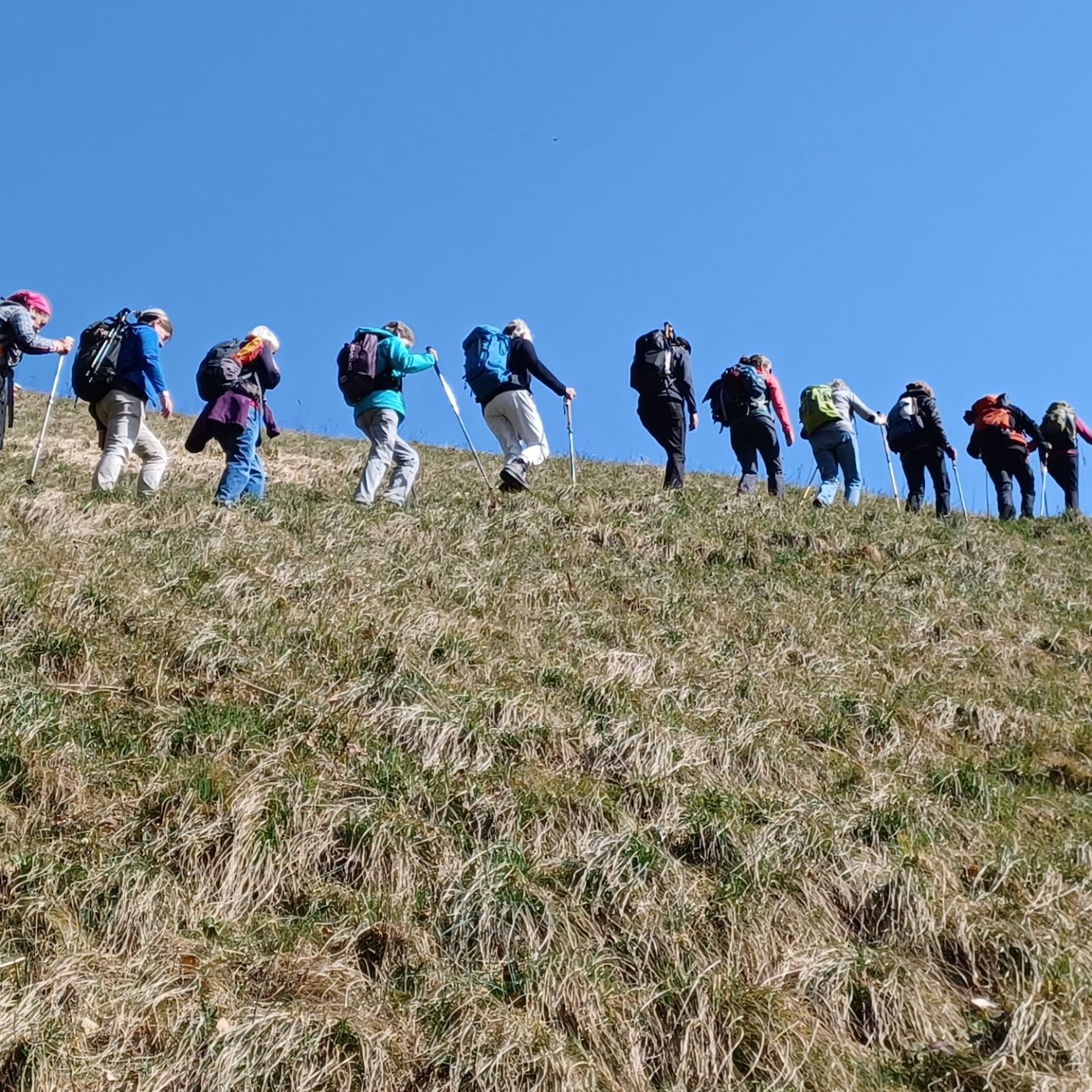 07_in luftigen Höhen