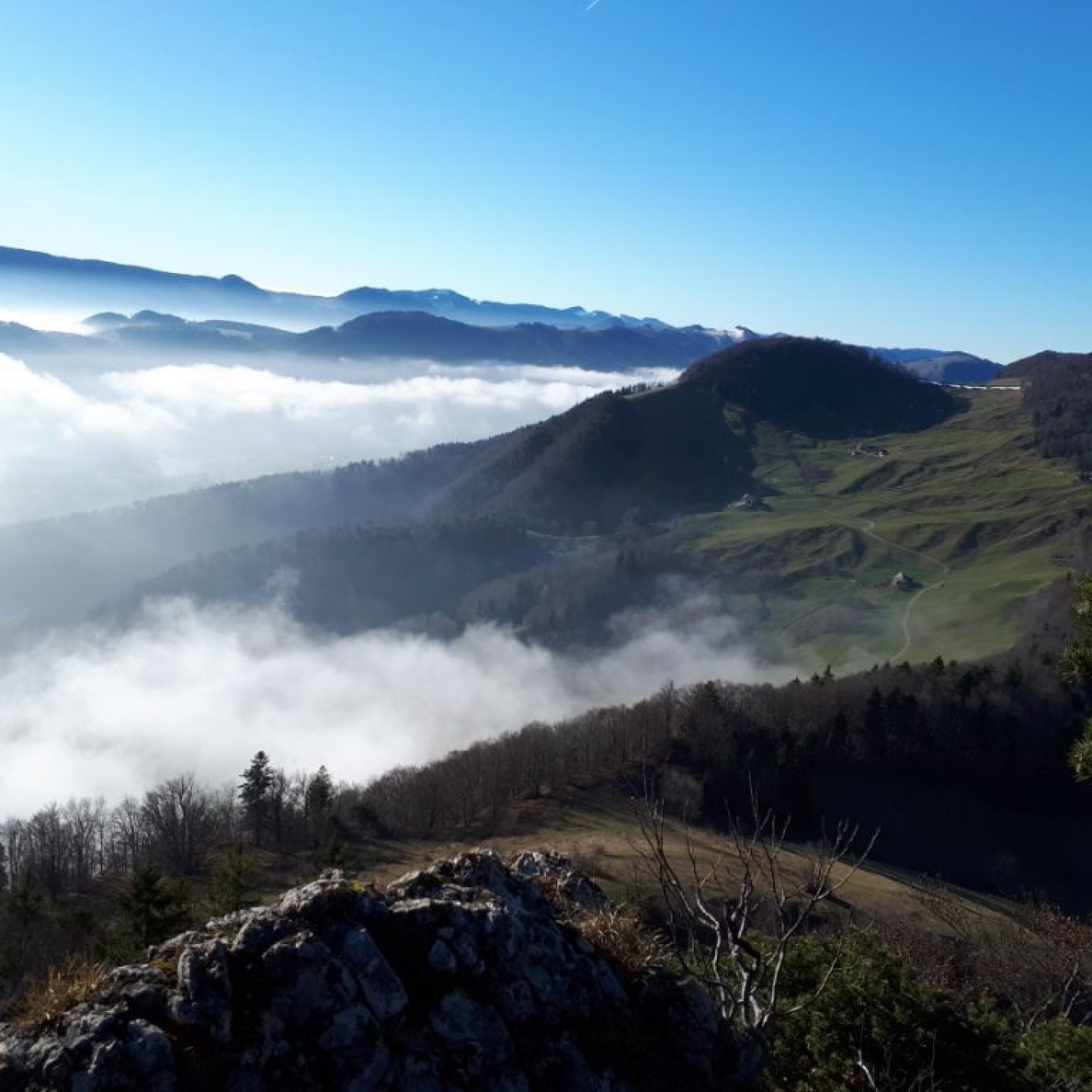 Nebelmeer