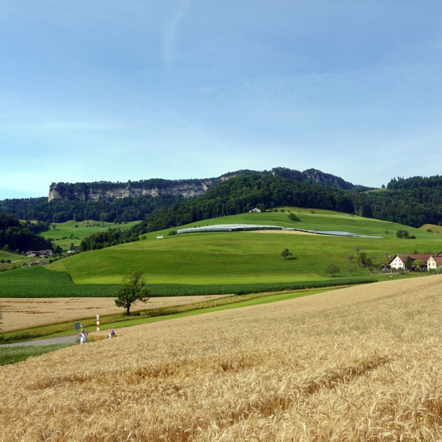 01_Eptinger Quellenwanderung