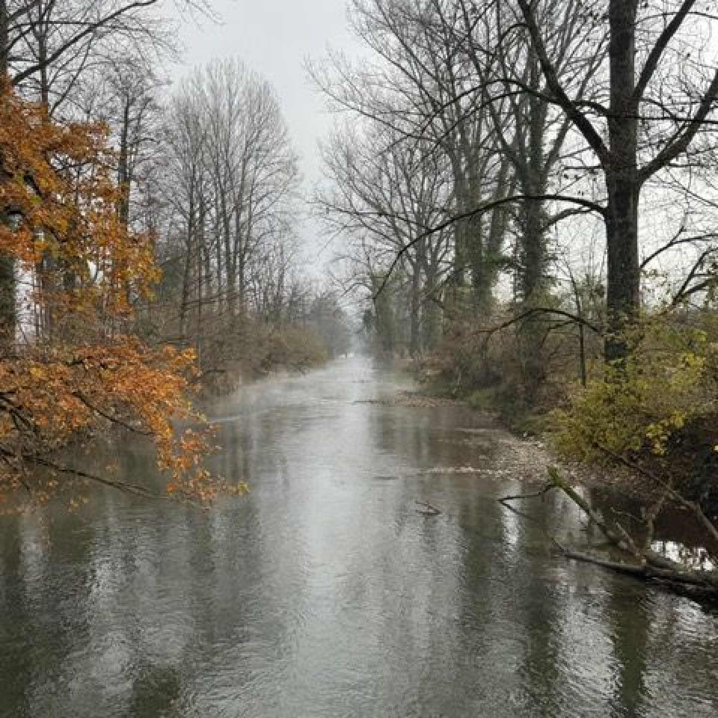 03_Mystische Stimmung an einem der Nebenkanäle der Aare