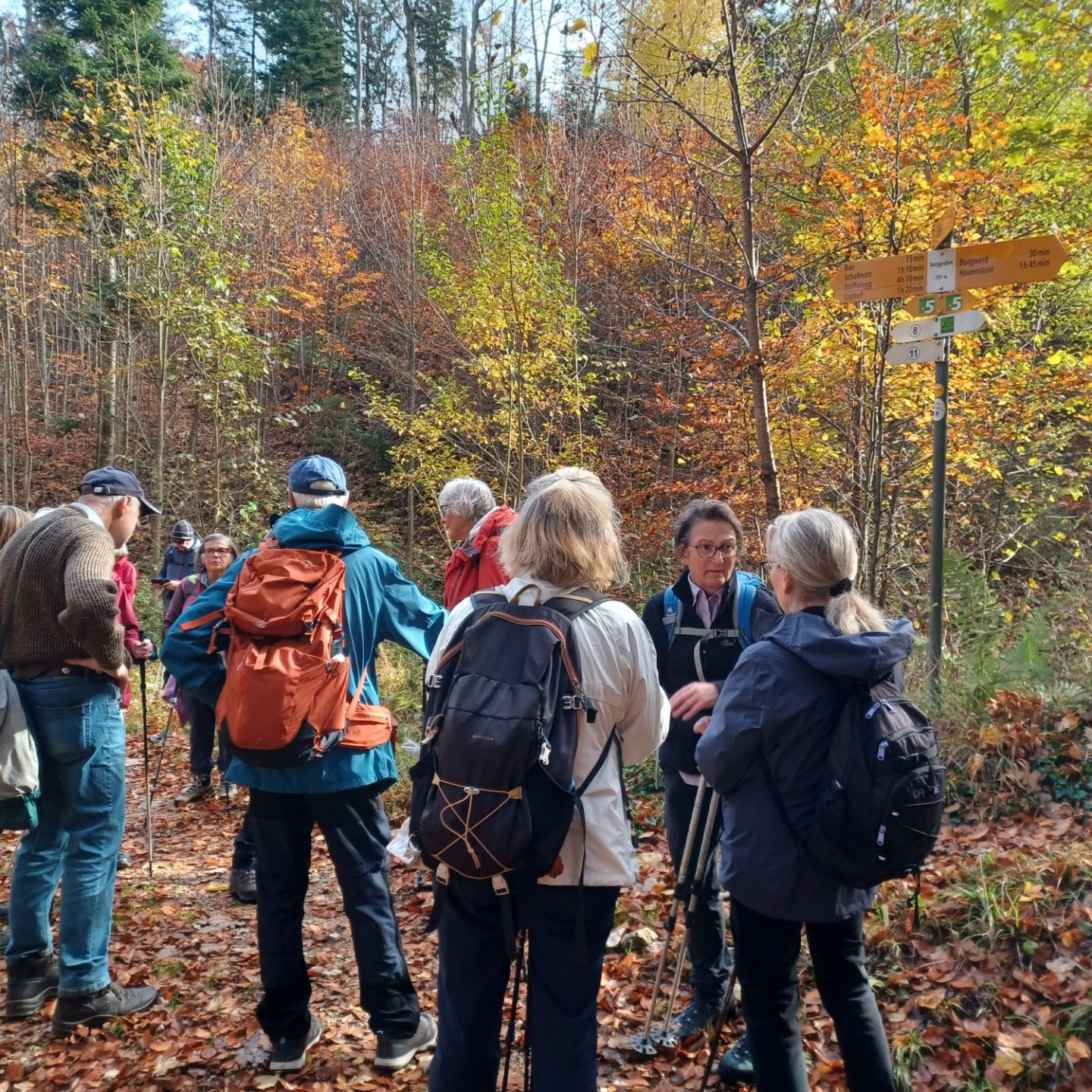 4 Trinkhalt im Herbstwald