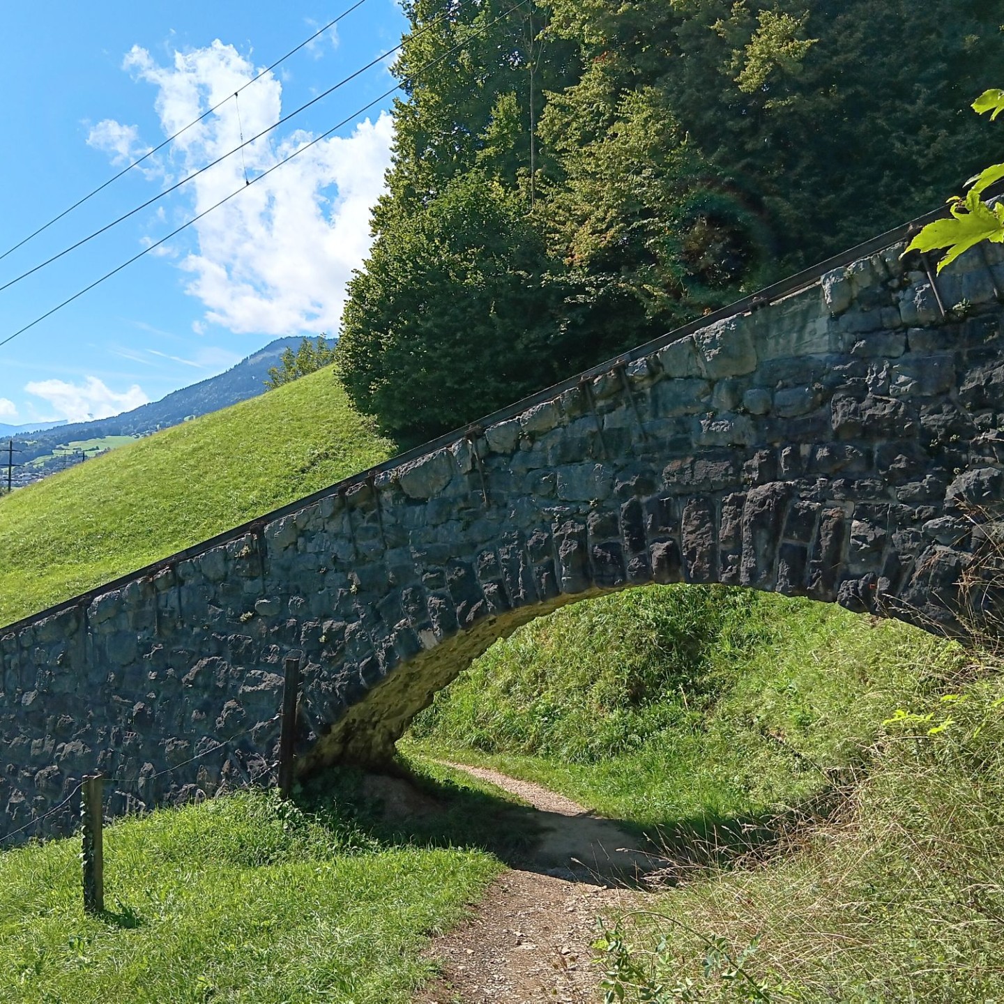 10-Brückentrasse der steilsten Zahnradbahn der Welt (48� Steigung)
