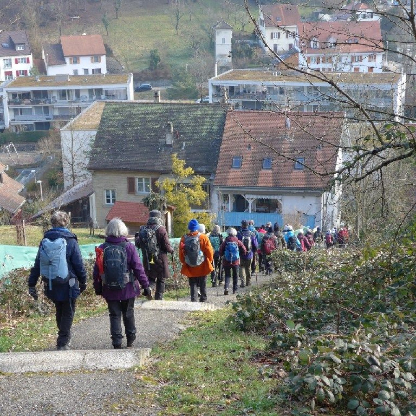 08_ Auf dem Grenzwächterwegli hinunter nach Flüh