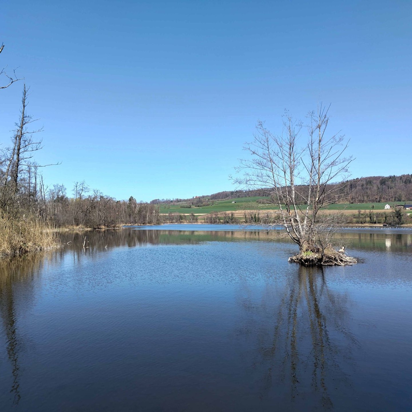 8 Hüttwilersee