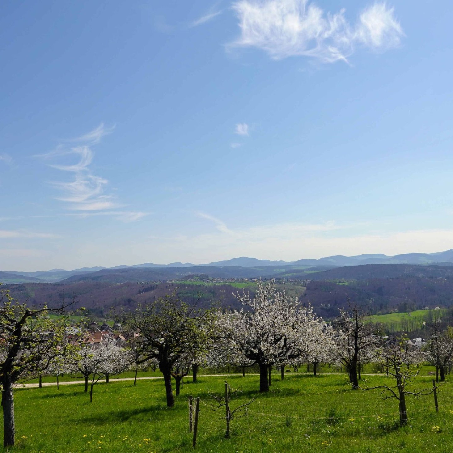 2025-04-09_17_WwbB_Büren-Liestal
