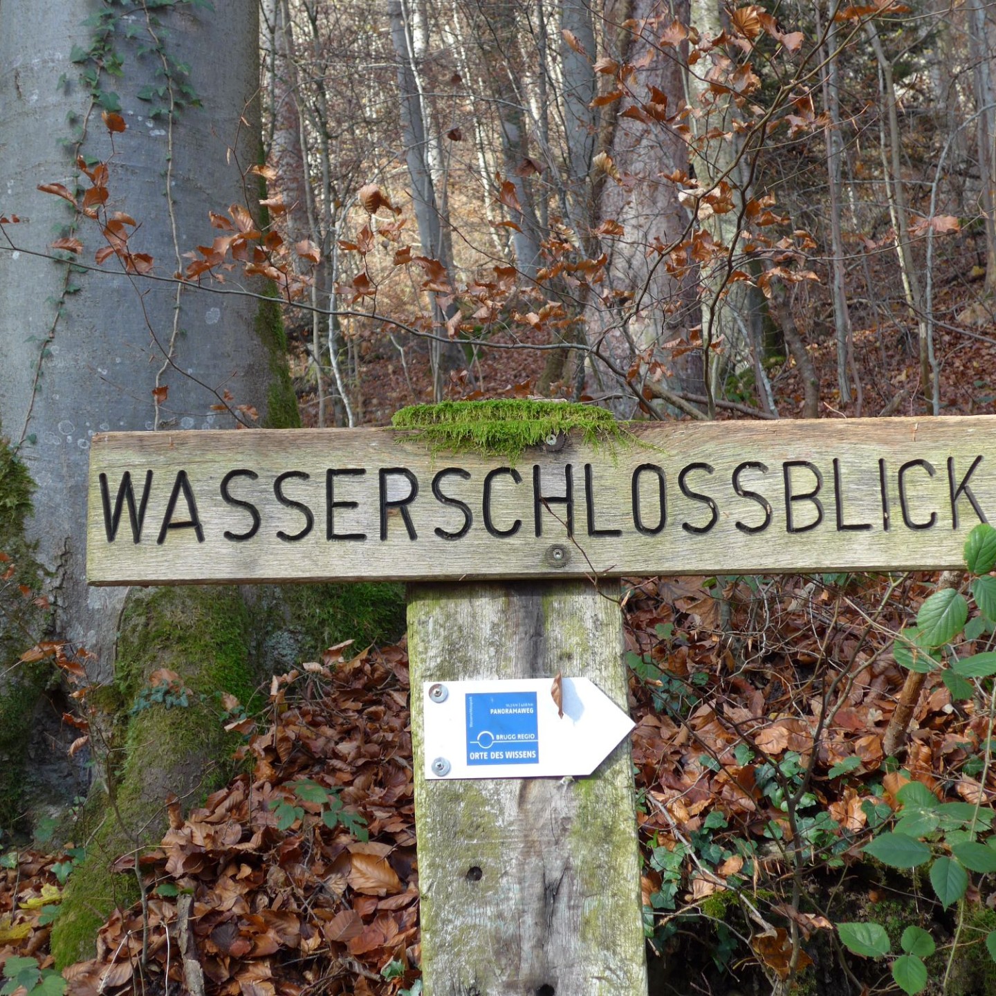 01_Richtung  Wasserschlossblick