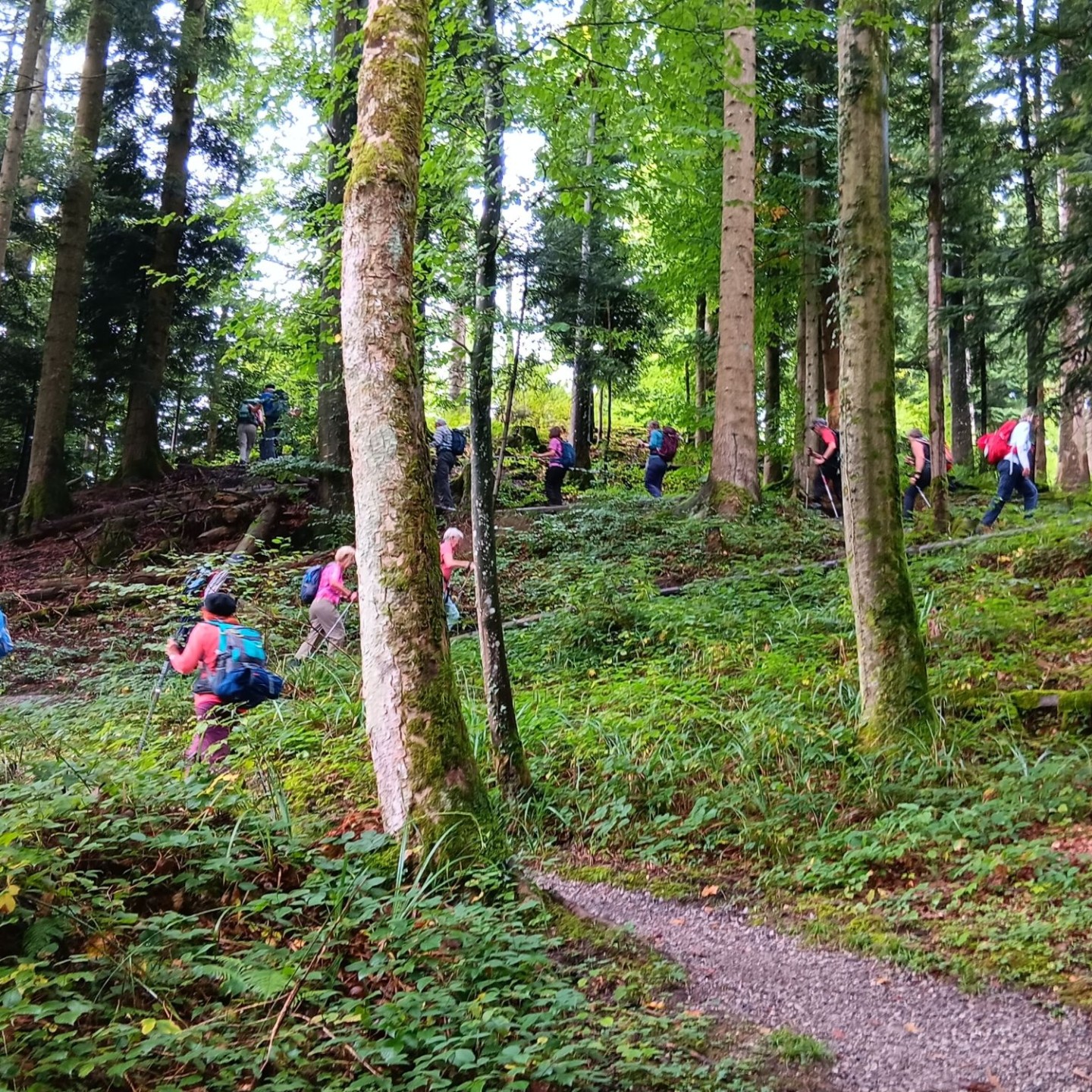 1-Gleich zu Beginn der steile Aufstieg