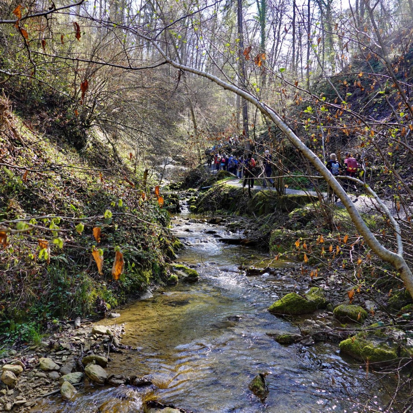 WwbB_2026-04-06_10_Pfannenstiel