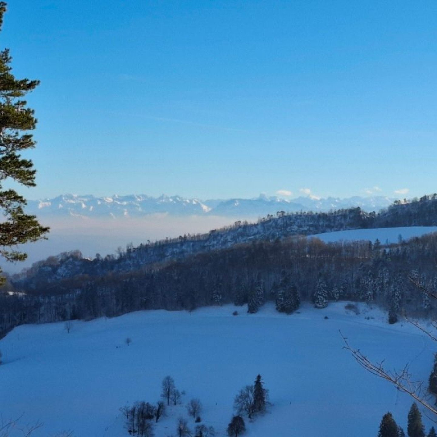 Alpenblick oberhalb Ifental_Dez