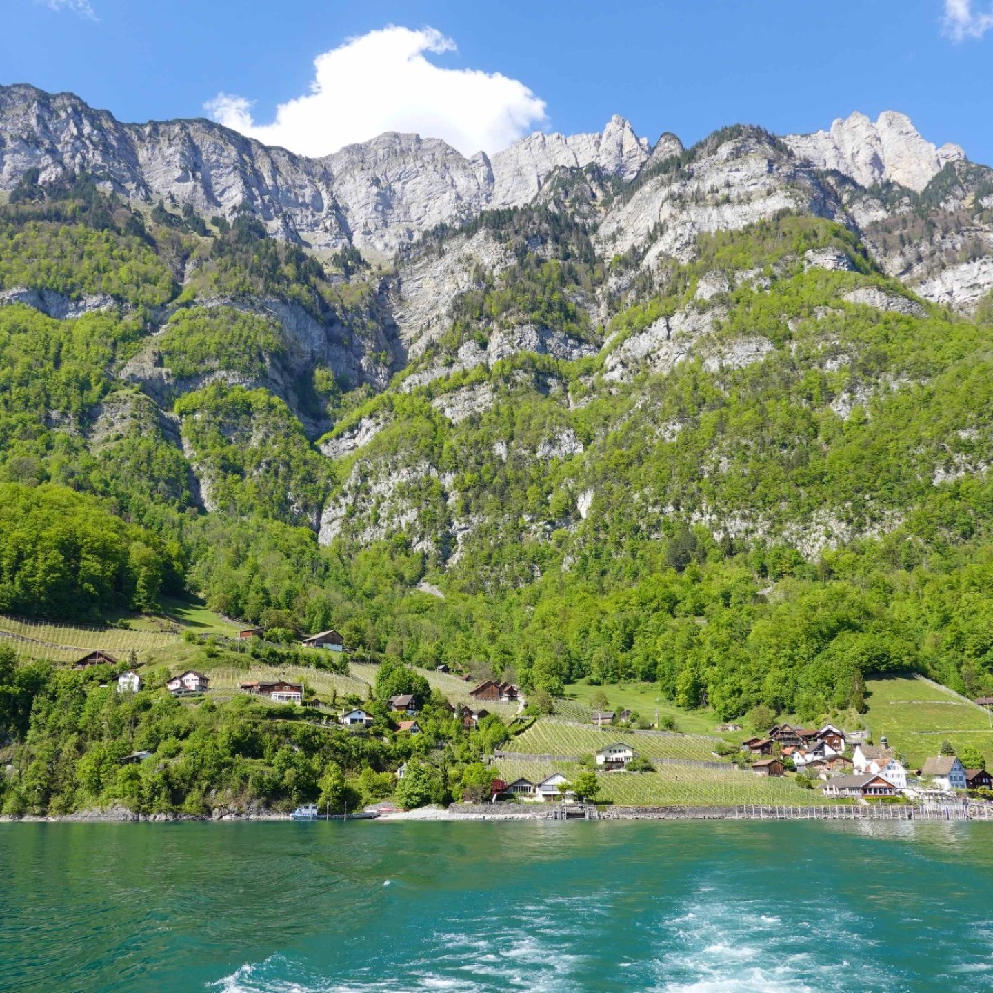 10_Walenseeschifffahrt nach Murg mit Blick auf die Churfirsten und Quinten
