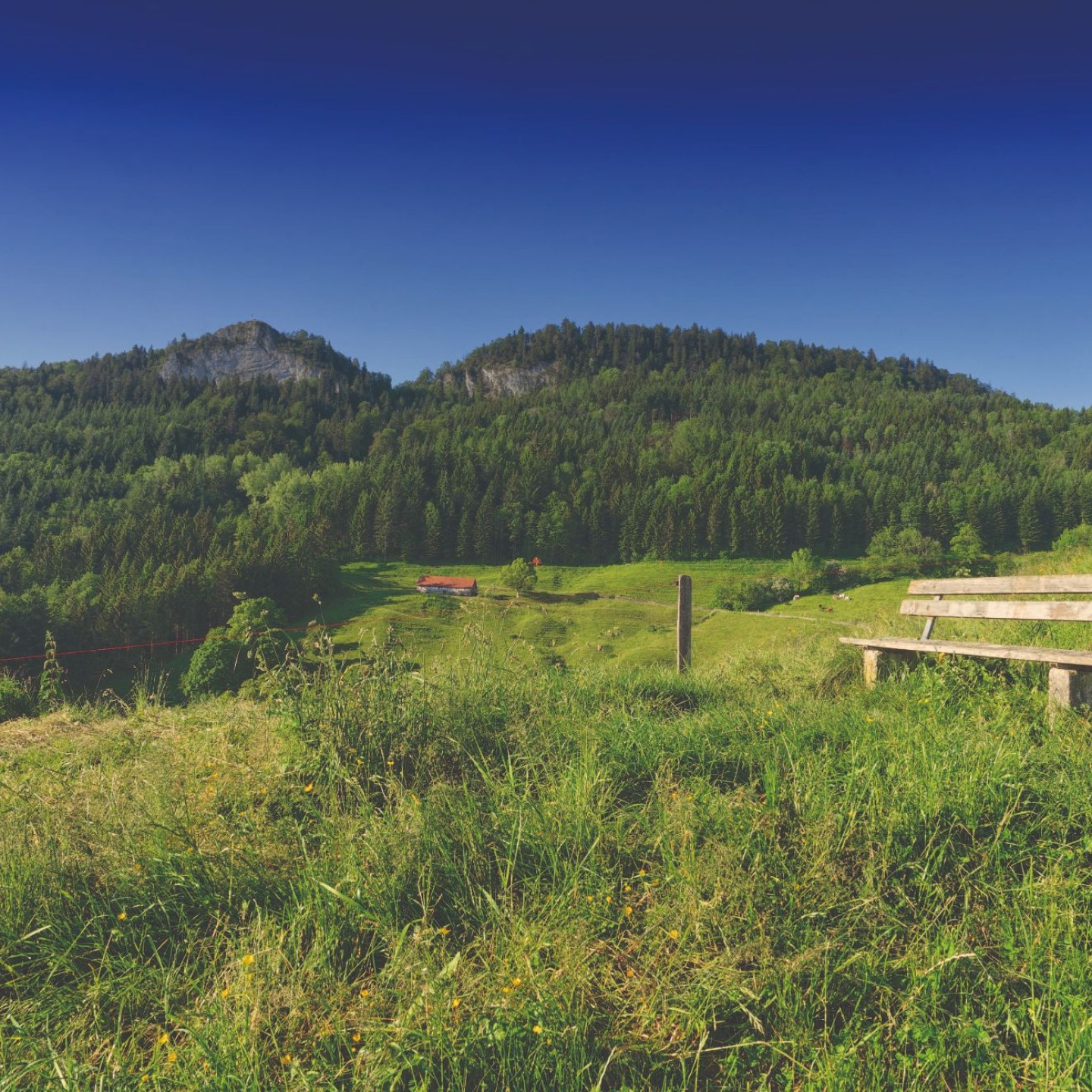Quellgebiet in Eptingen_Blick auf Belchenfluh