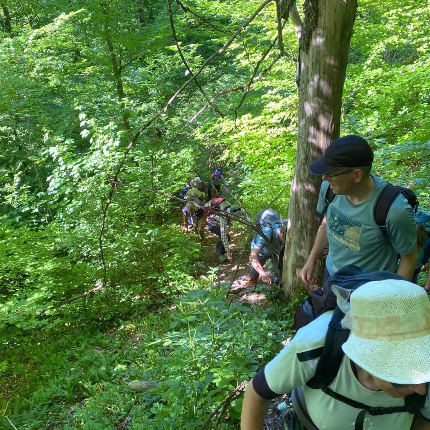 IMG-20250519-WA0004
