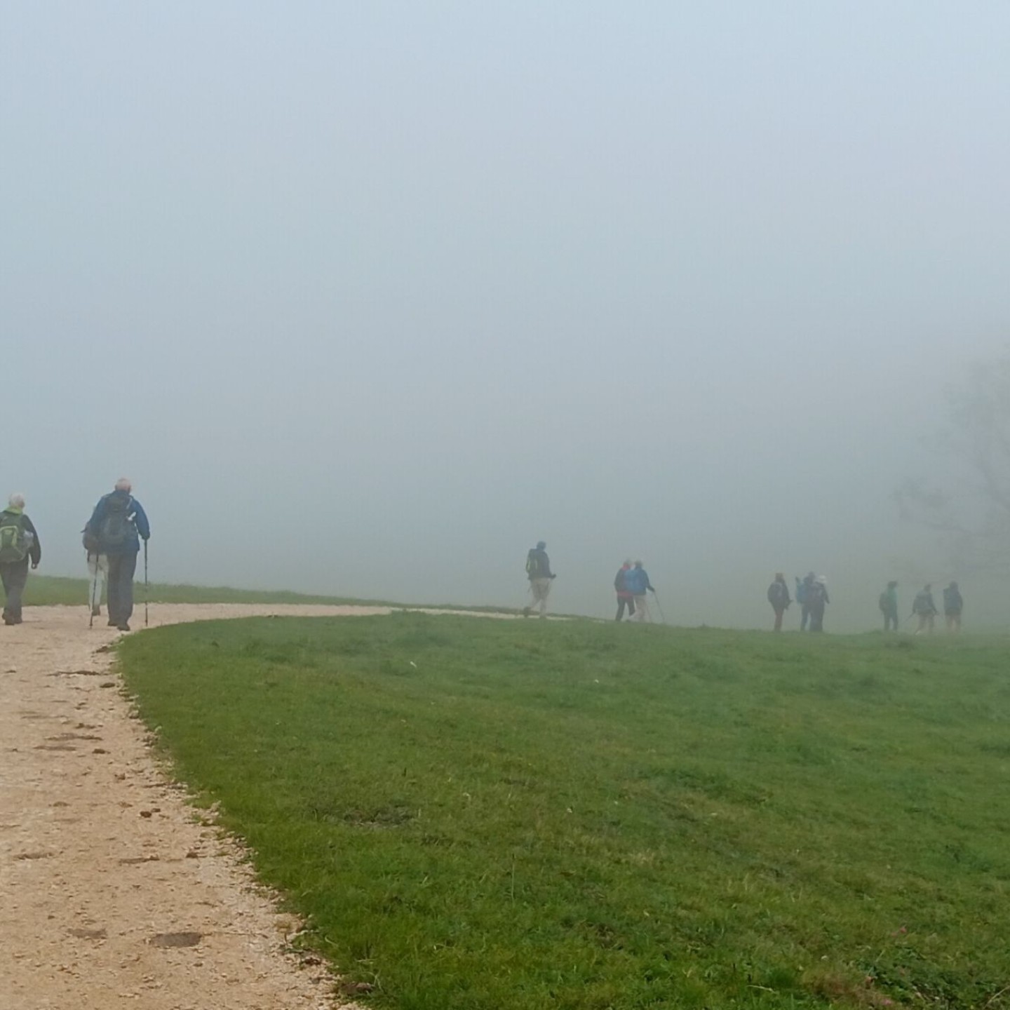 2-Und durch die mystische Nebelstimmung gings Richtung