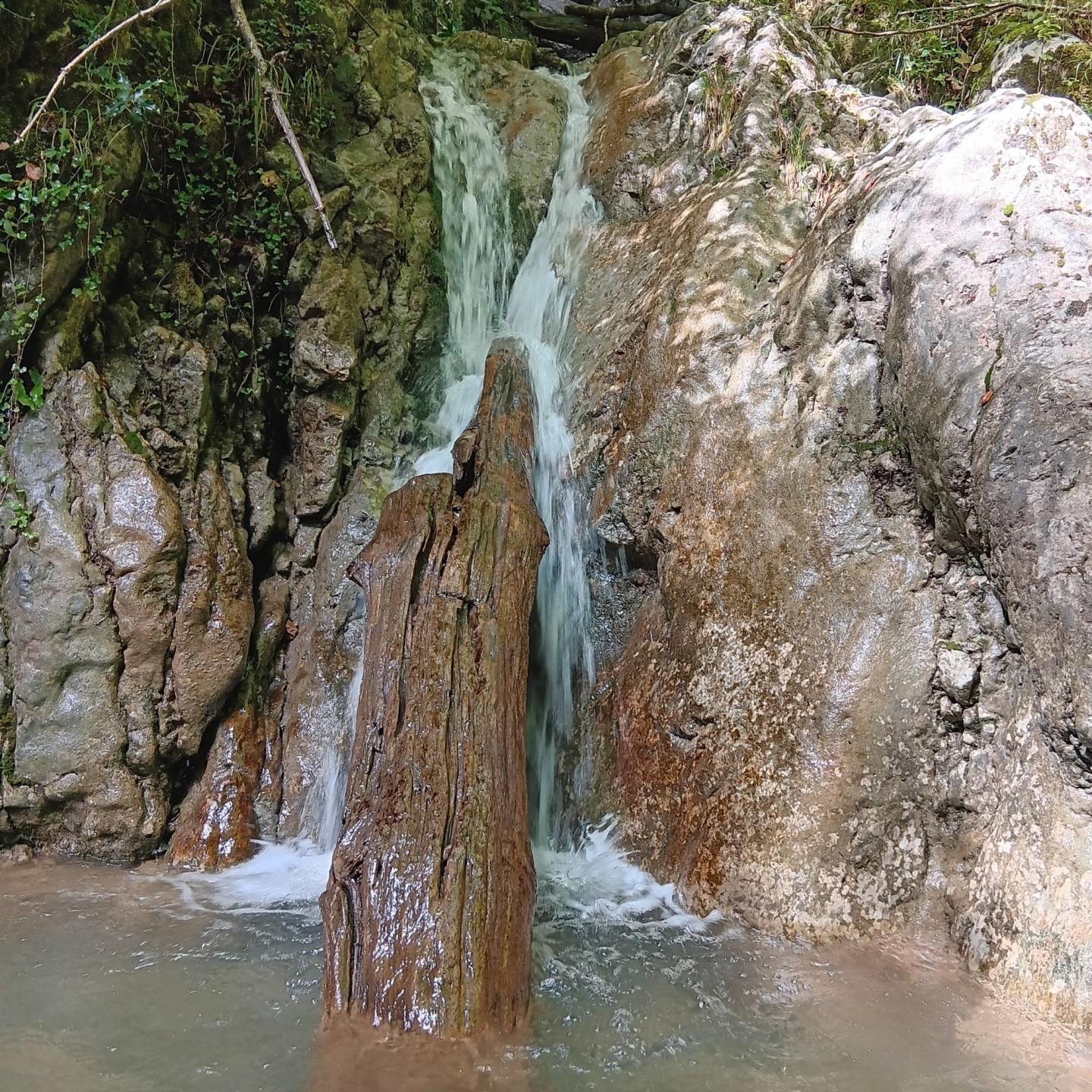 6-Wasserfall im Widlisbacher-Töbeli
