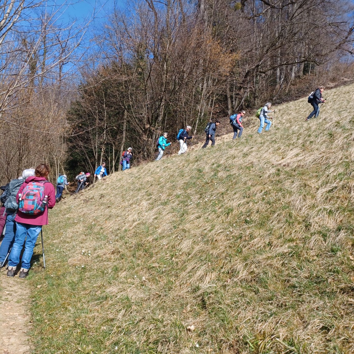 05_Mutig in die Steigung