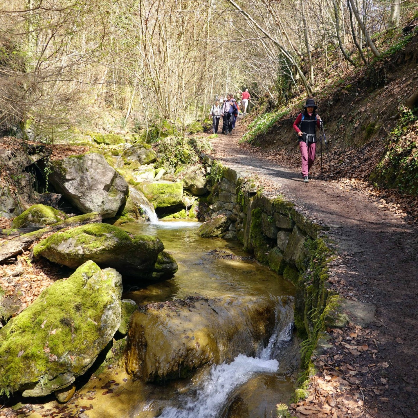 WwbB_2026-04-06_39_Pfannenstiel