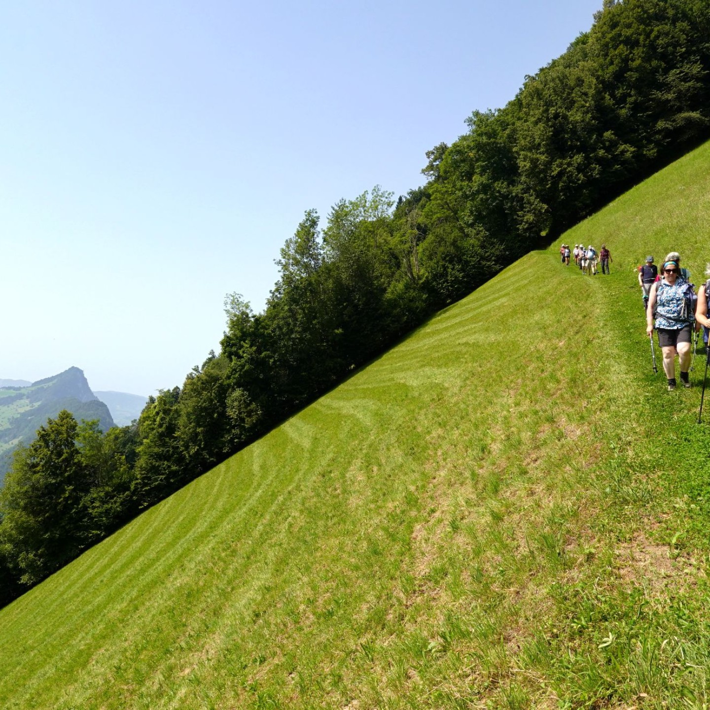 08_Herrliche Wiesen Richtung Gersau