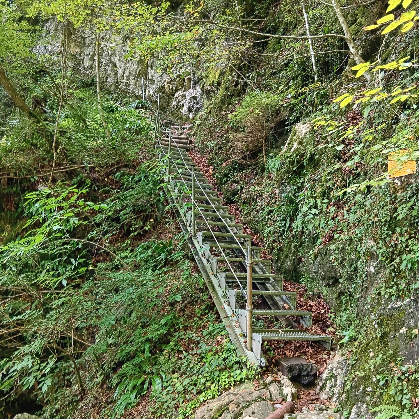 8-Der letzte Anstieg aus dem Tobel