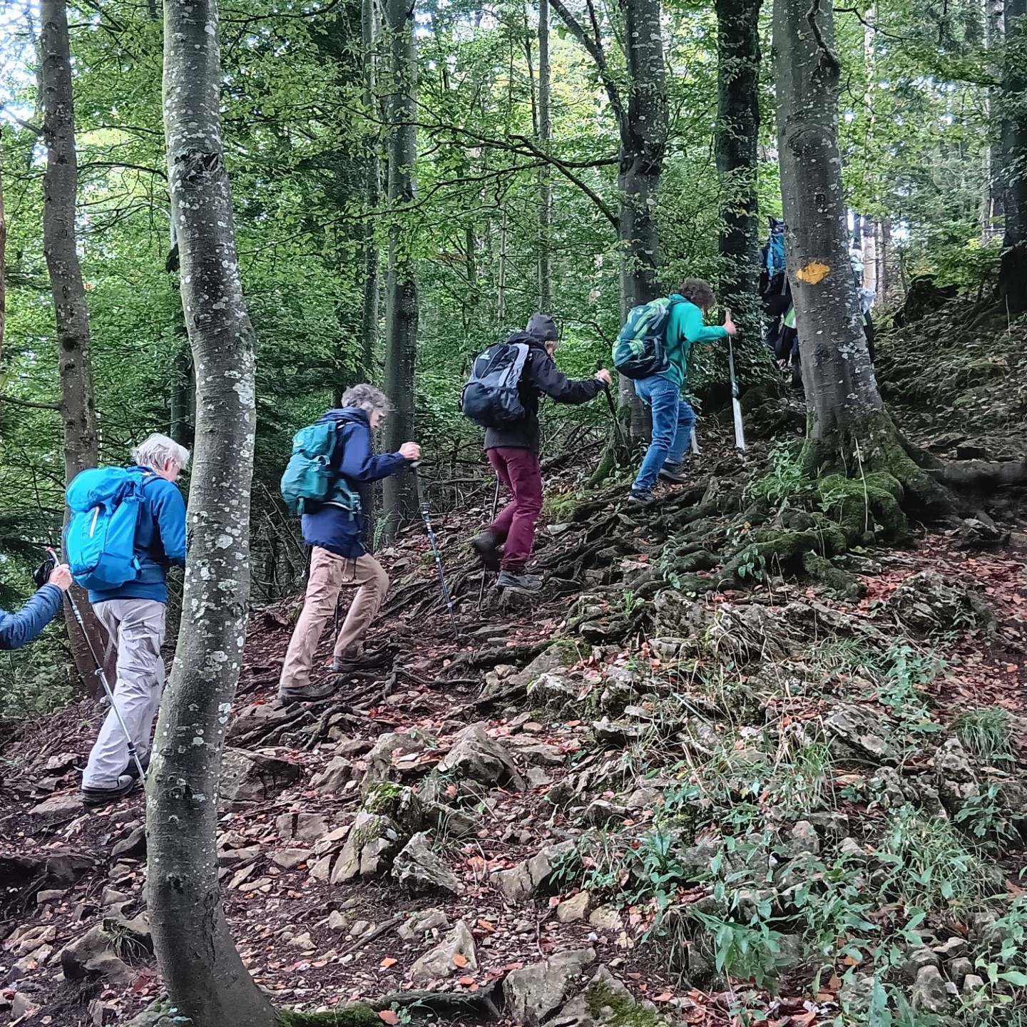 1-Im steilen Aufstieg zur Wanneflue