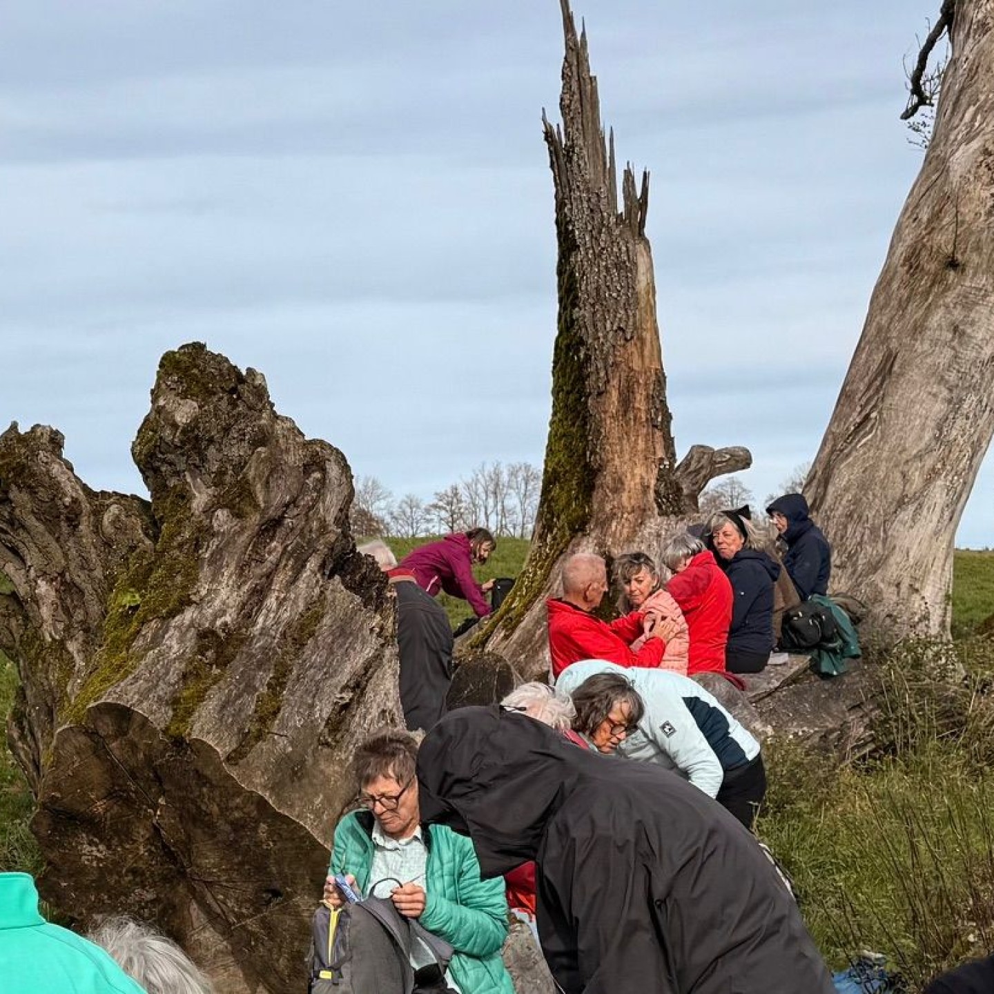 7 ungewohnter Picknickplatz