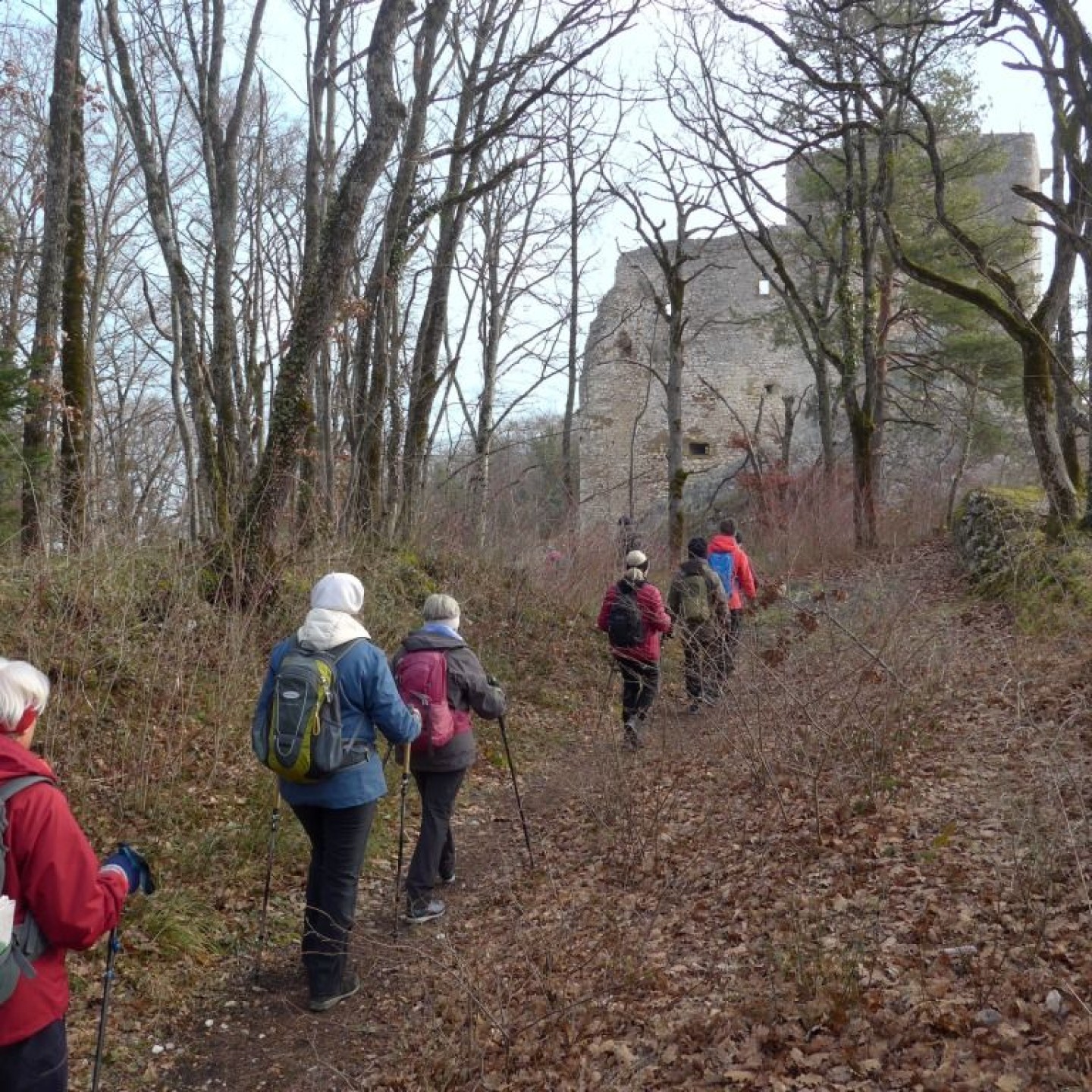 01_Auf schmalen Pfaden über den Landskronberg zur eindrücklichen Ruine Landskron (F)