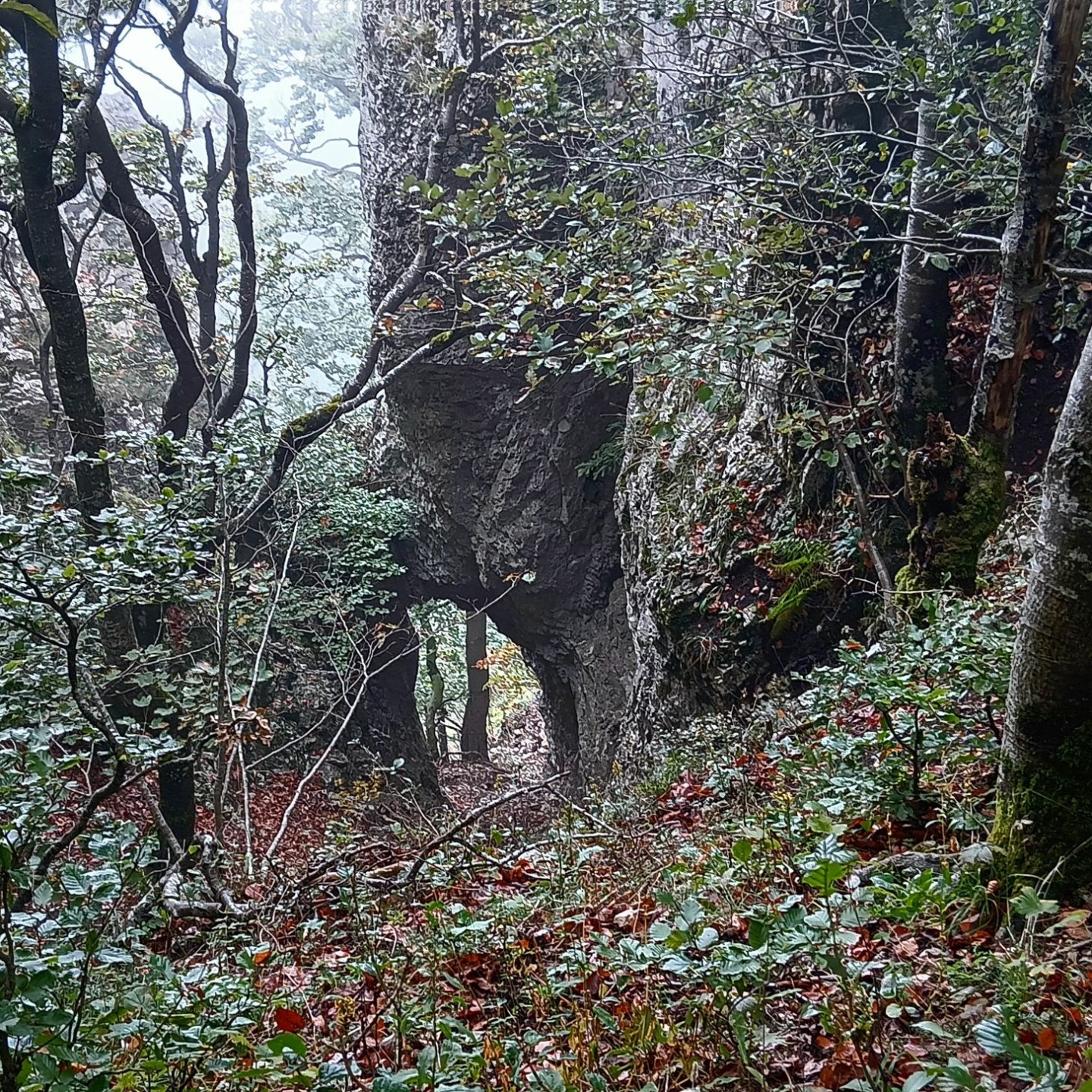 4-Über den Grat näherten wir uns der Bättlerchuchi