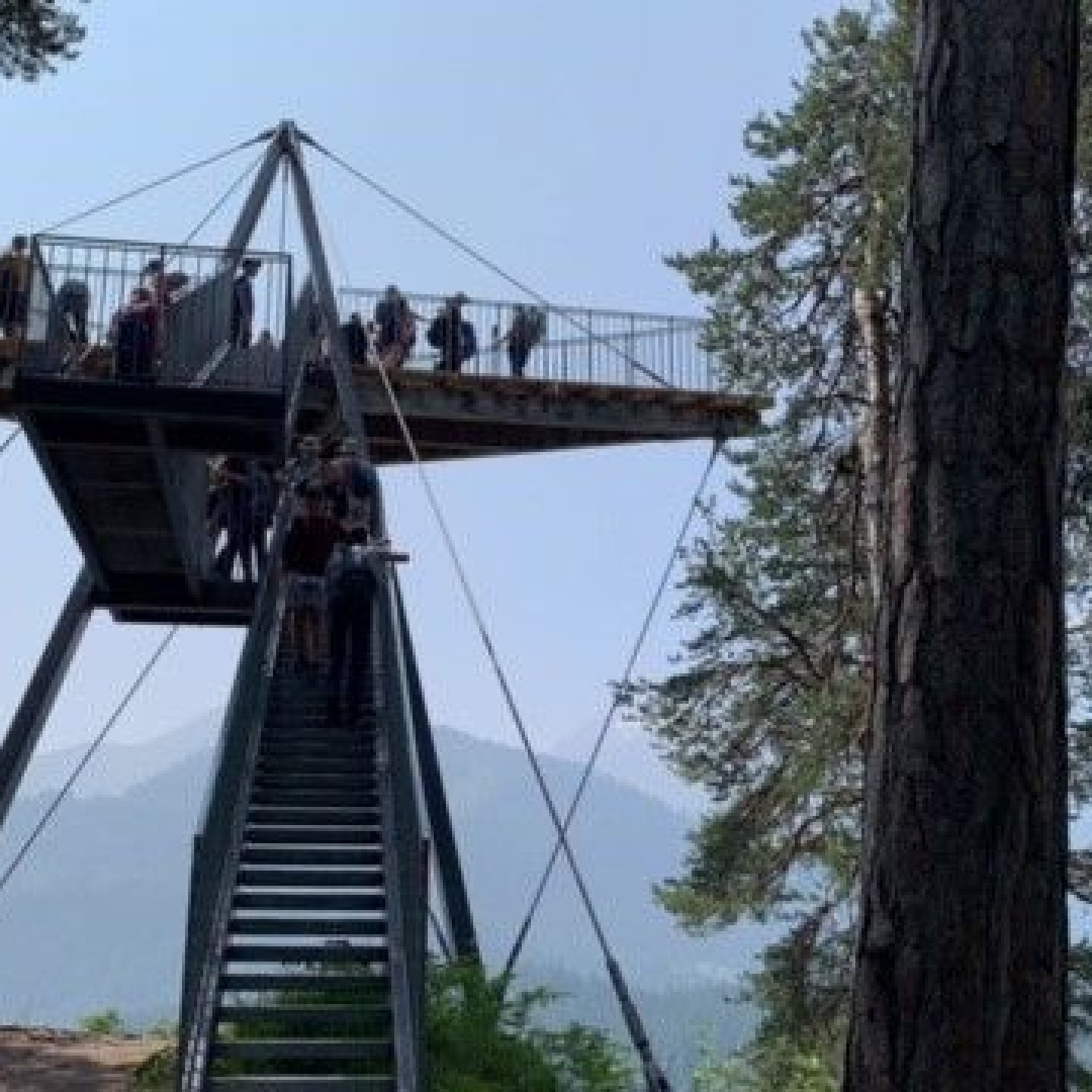 Rheinschlucht5