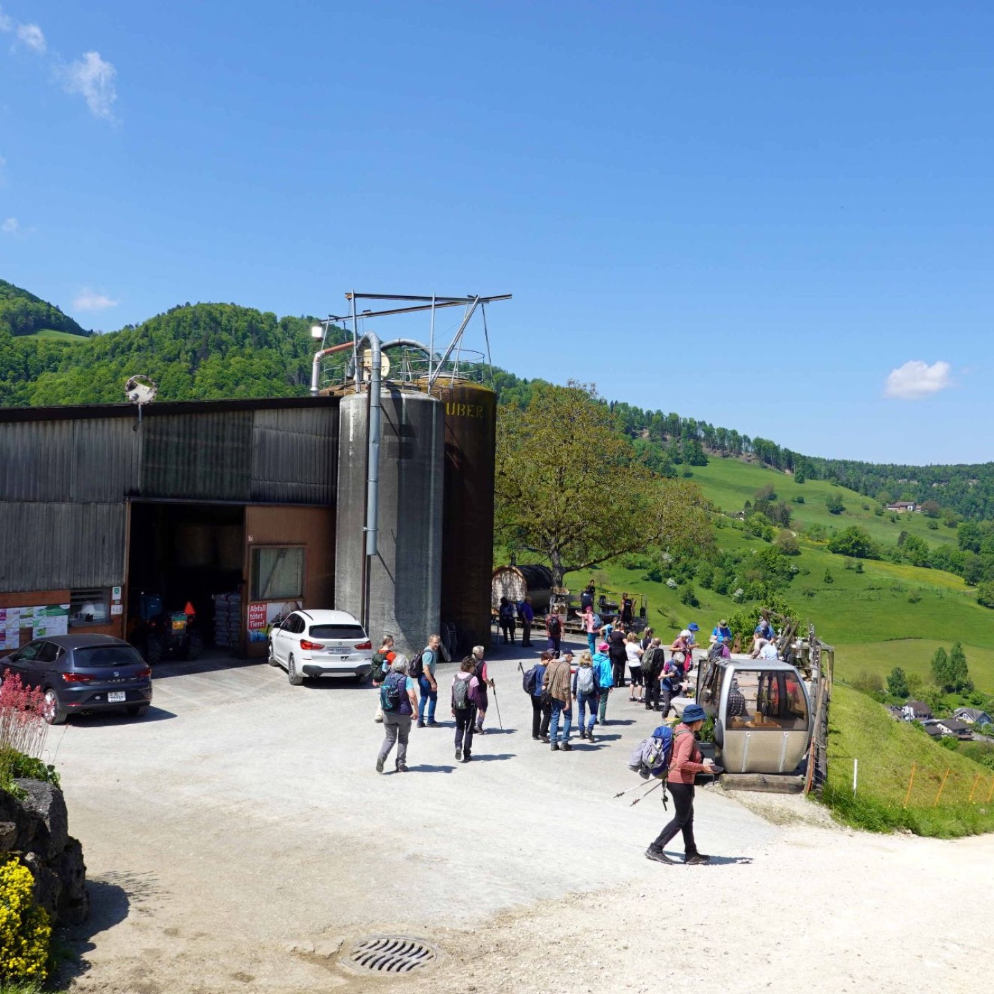 2025-05-10_08_bzLW_Grindel-Laufen