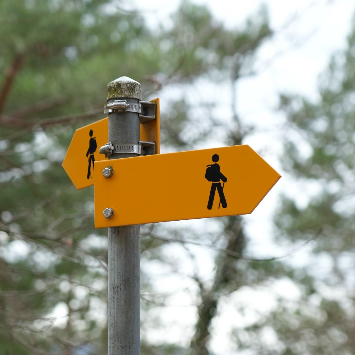 Wegweiser mit Wanderer