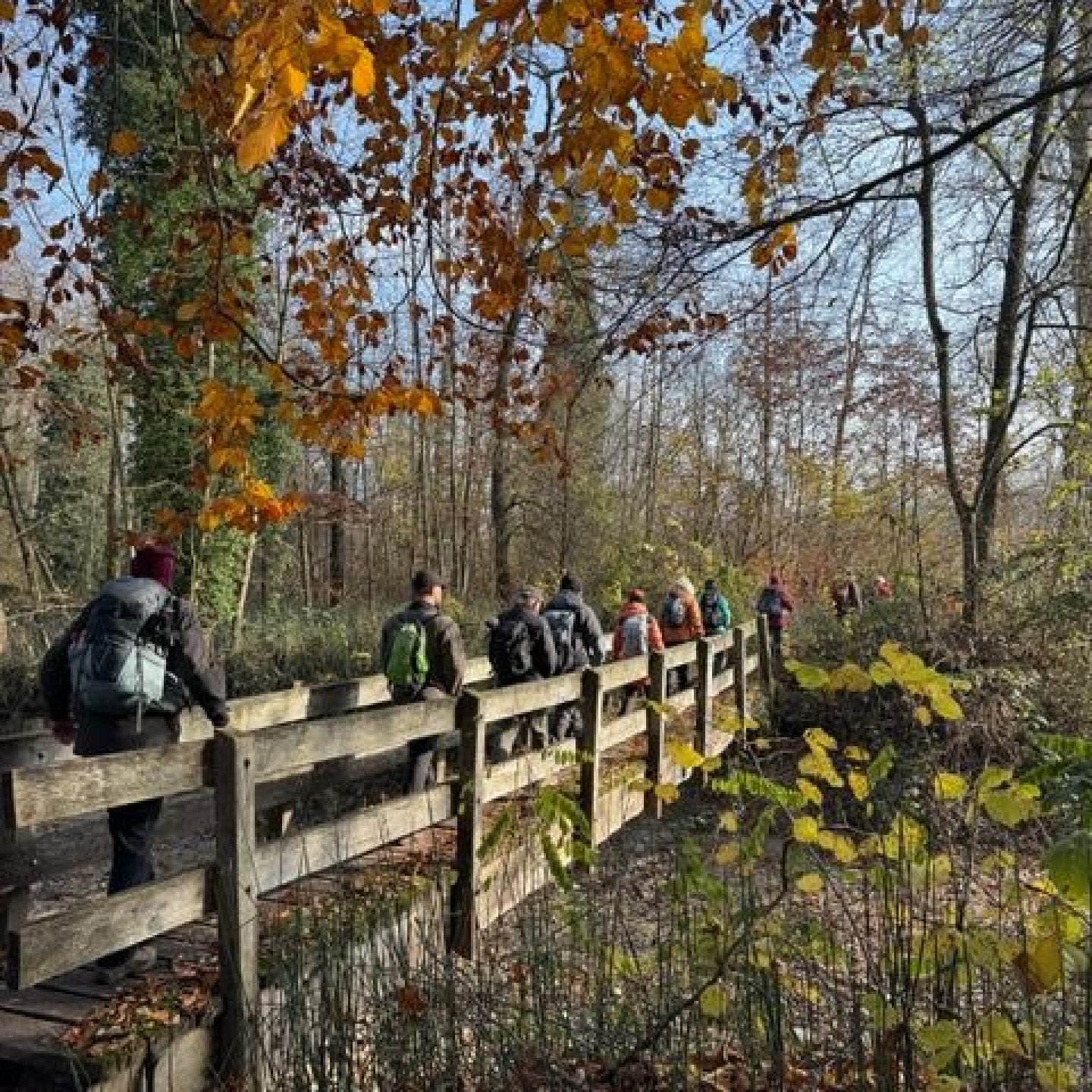 05_Ueber eine Brücke zur nächsten Inse