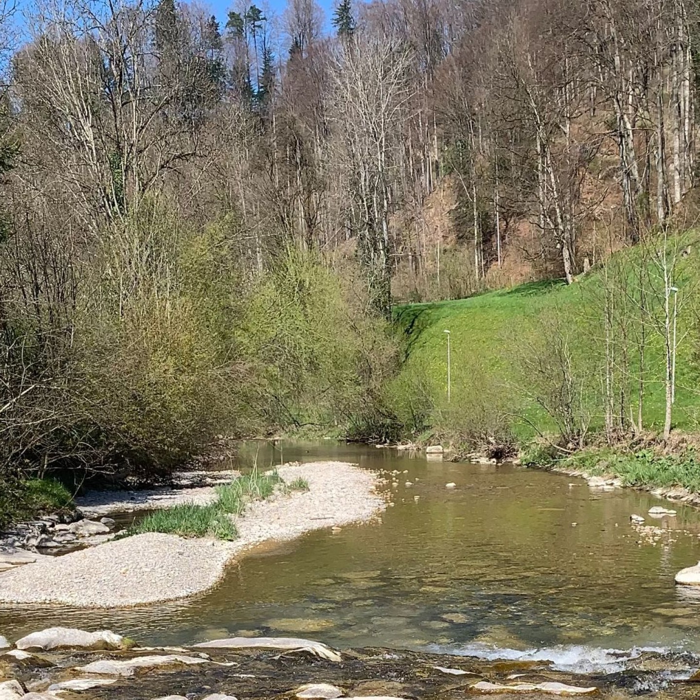 Beerli_05_Niedriger Pegelstand der Töss