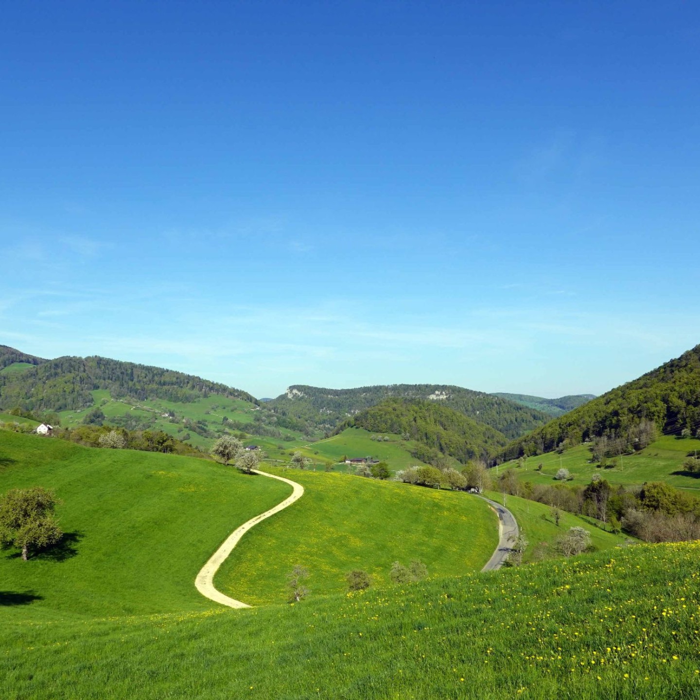 WwbB_2026-04-06_03_Stierenberg