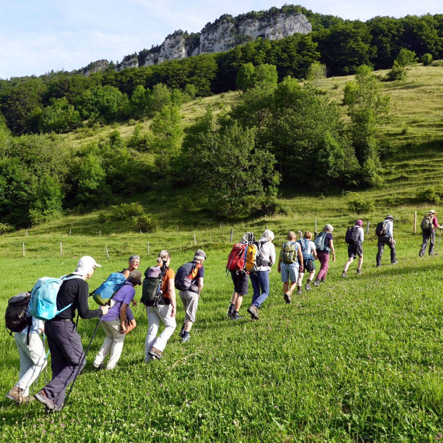 02_ Aufstieg durch herrliche Wiesenwege