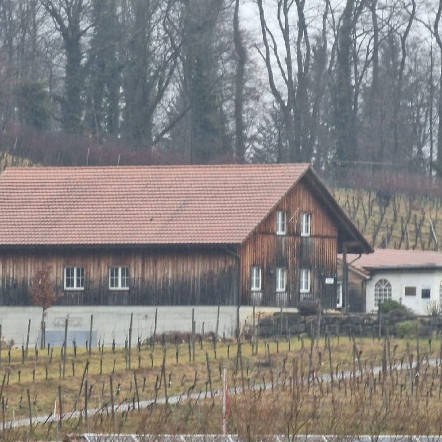 IMG-20260128-WA0003 2