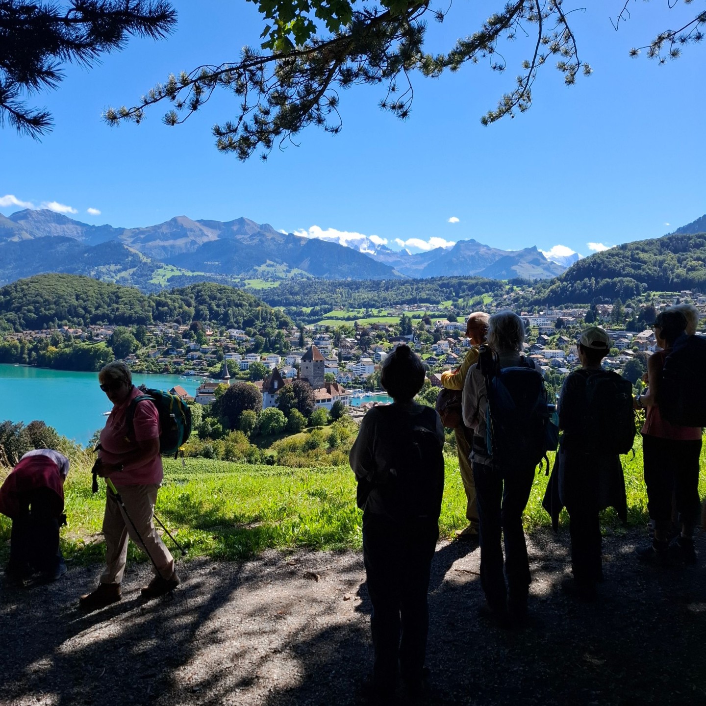 Uferwanderung Thunersee6