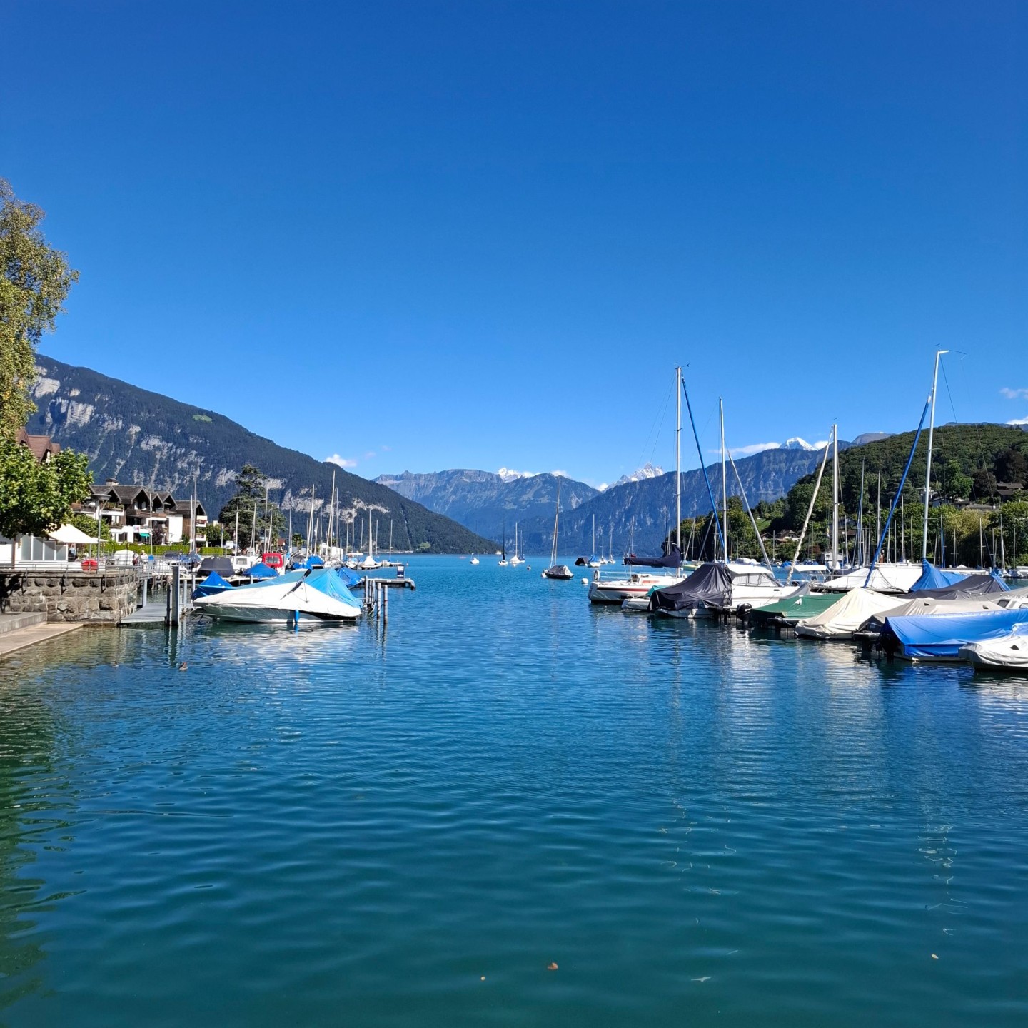Uferwanderung Thunersee8