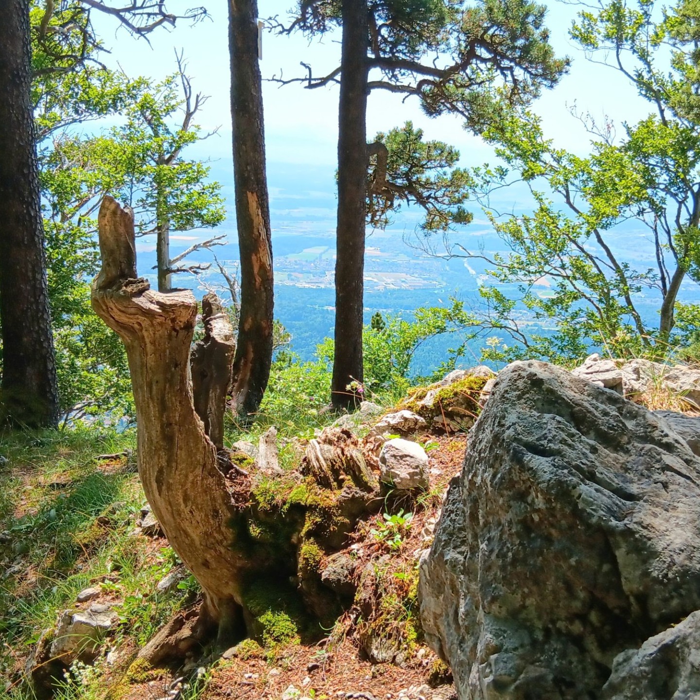 08_Natur pur auf den Chambenflüe
