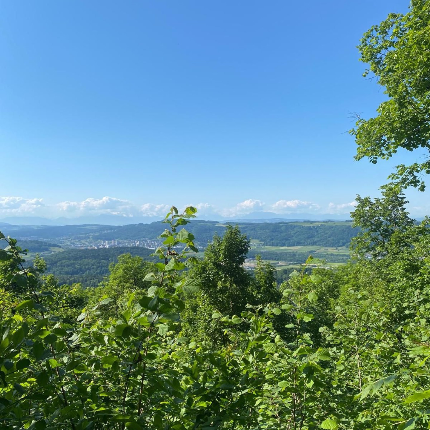 IMG-20250519-WA0007
