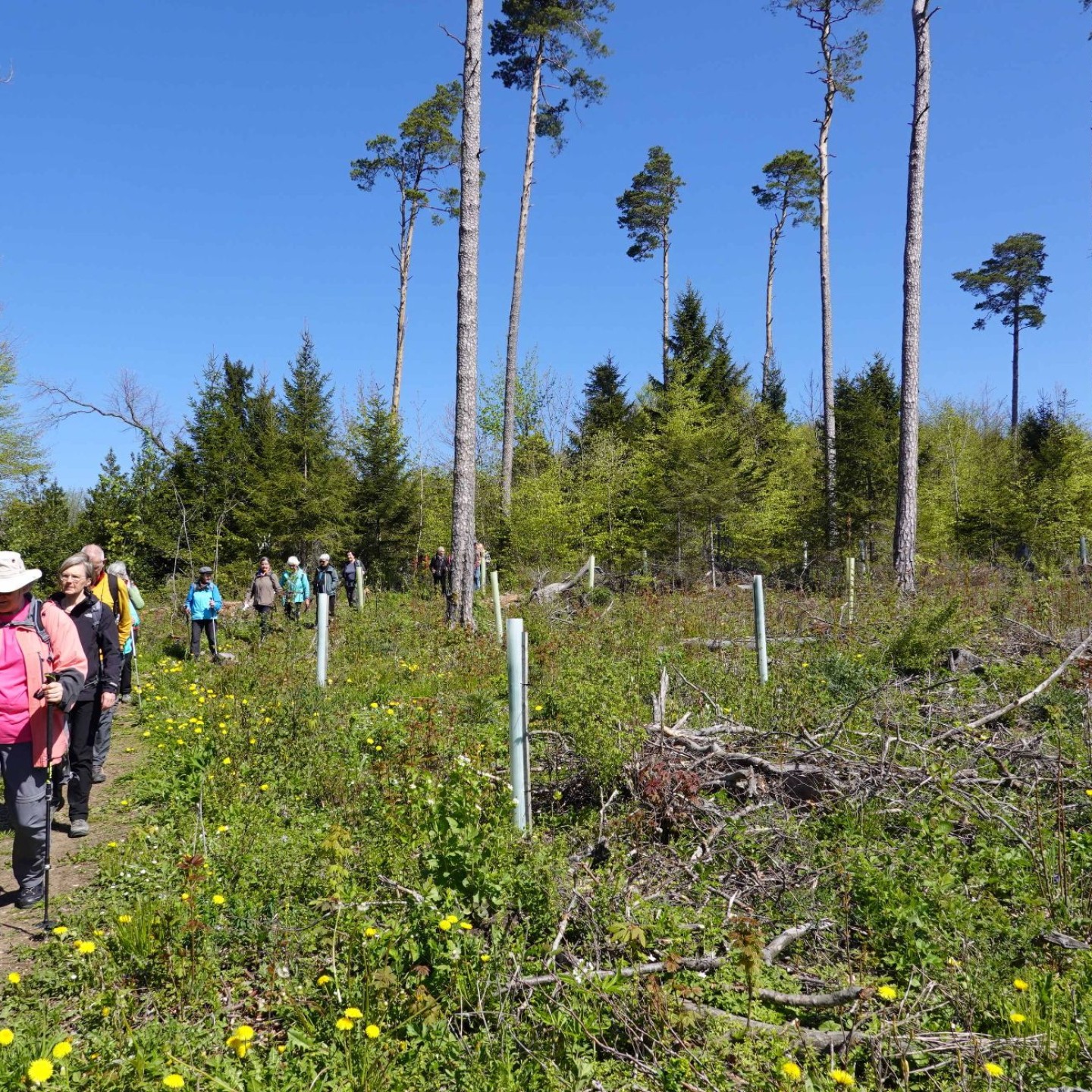 WwbB_2026-04-06_13_Burgflue