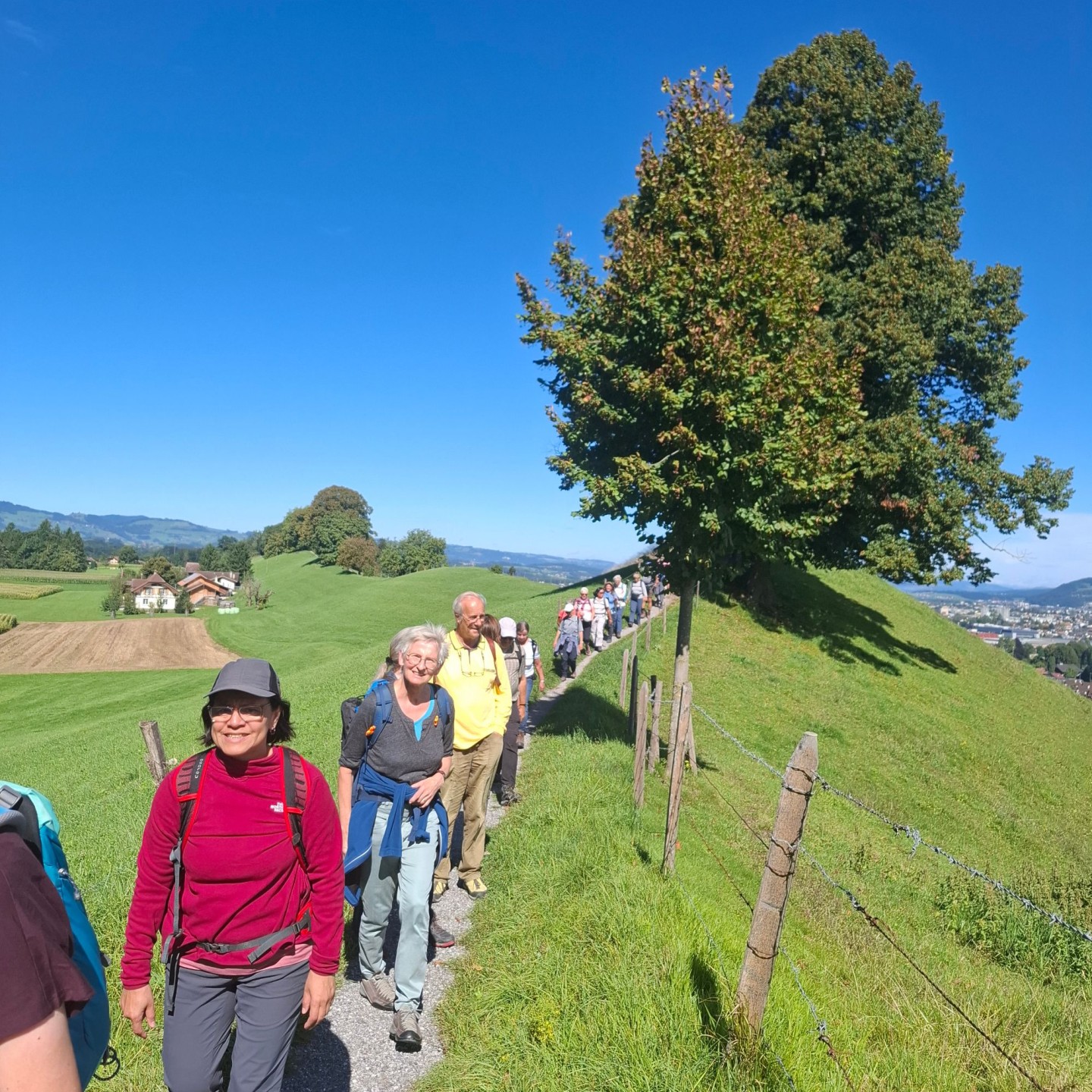 Uferwanderung Thunersee