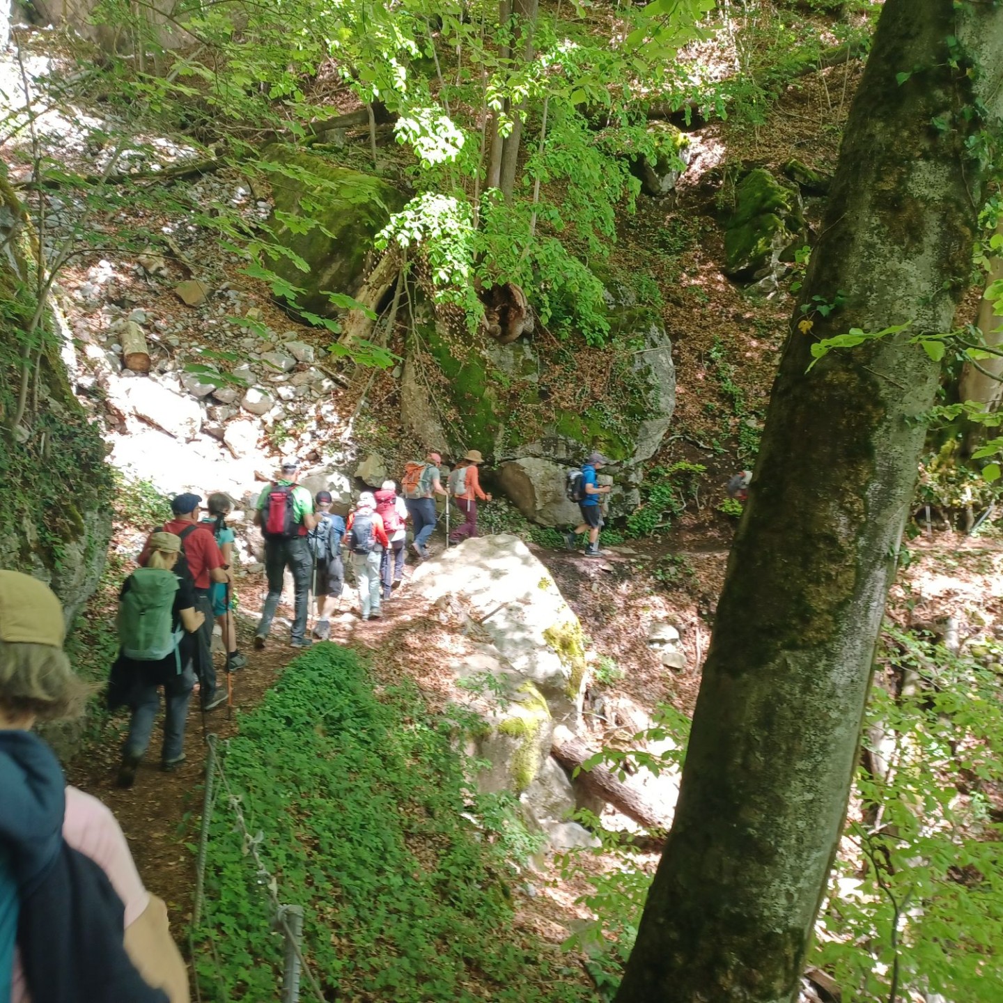 04_Entlang von Felswänden am Fusse der Churfirsten