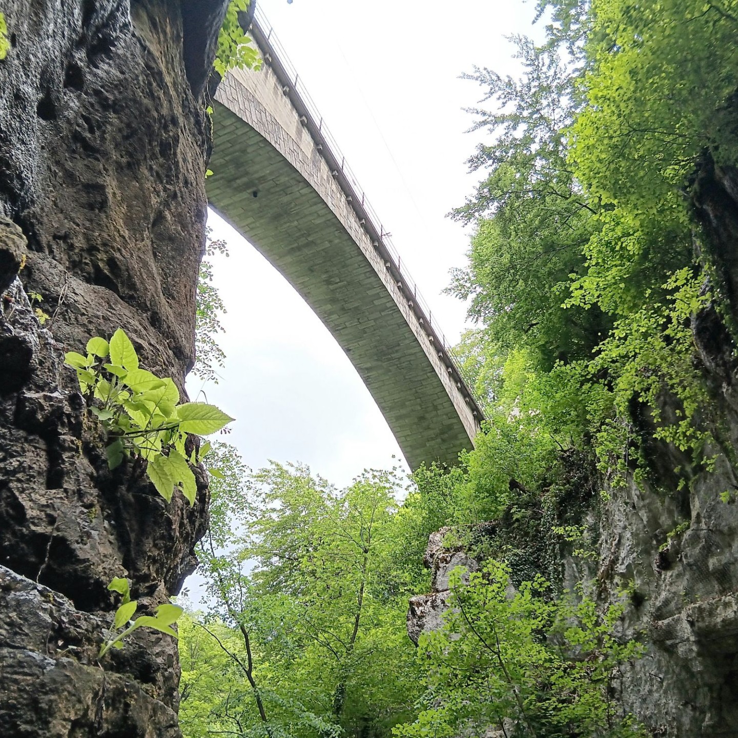 2026-Bözingerberg-04