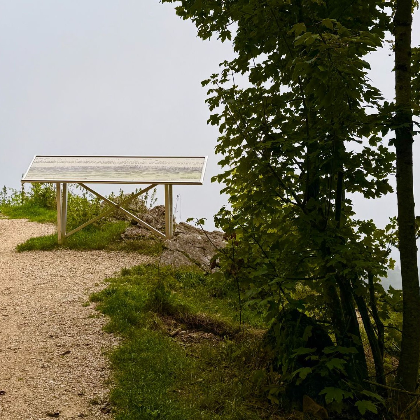 5-Leider verwehrte uns der Nebel den Blick in die Alpen