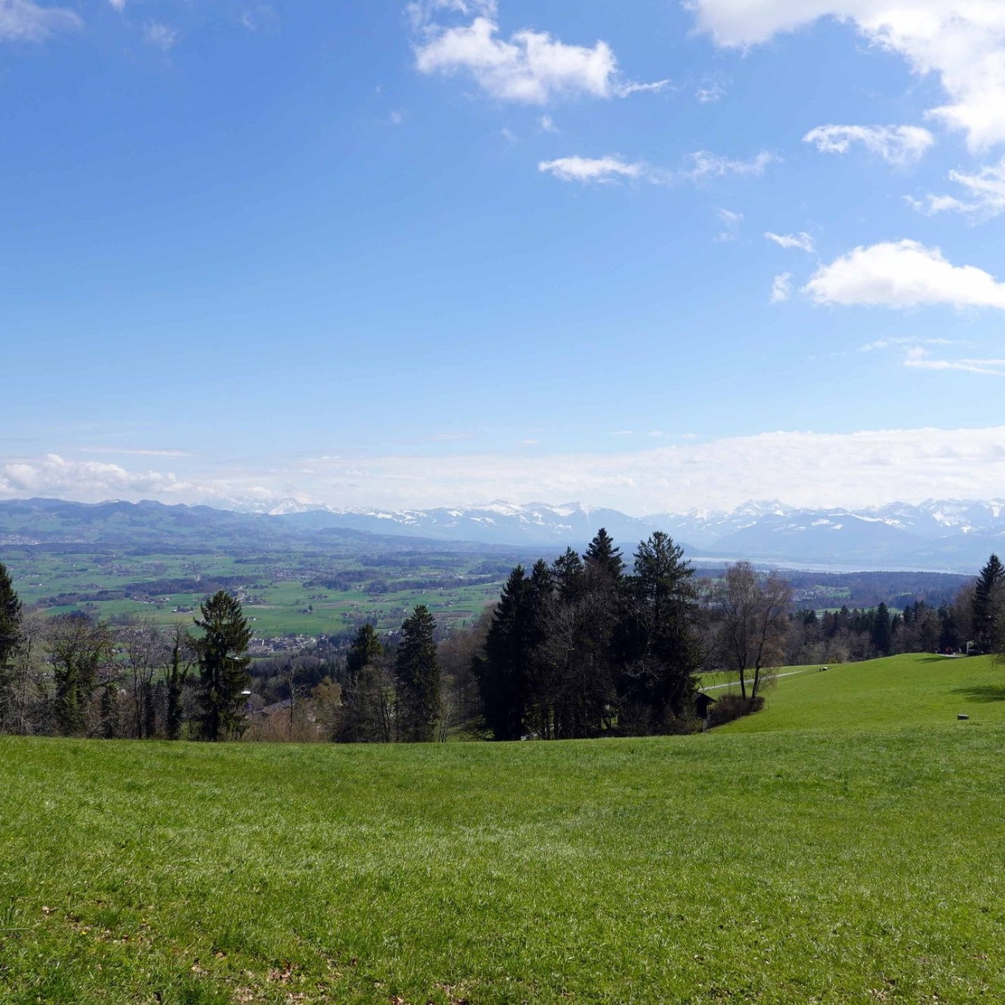 WwbB_2026-04-06_18_Pfannenstiel