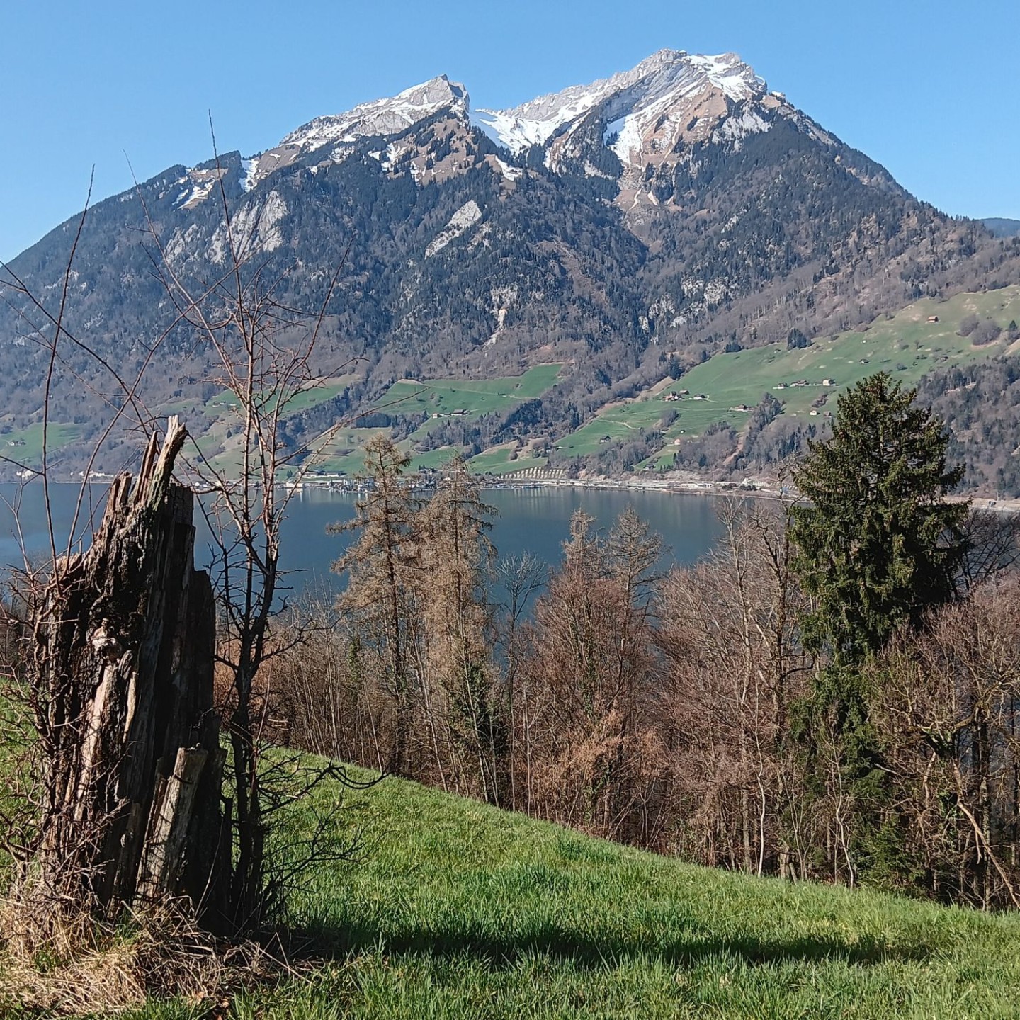 01_Pilatusblick von Ober Rüti