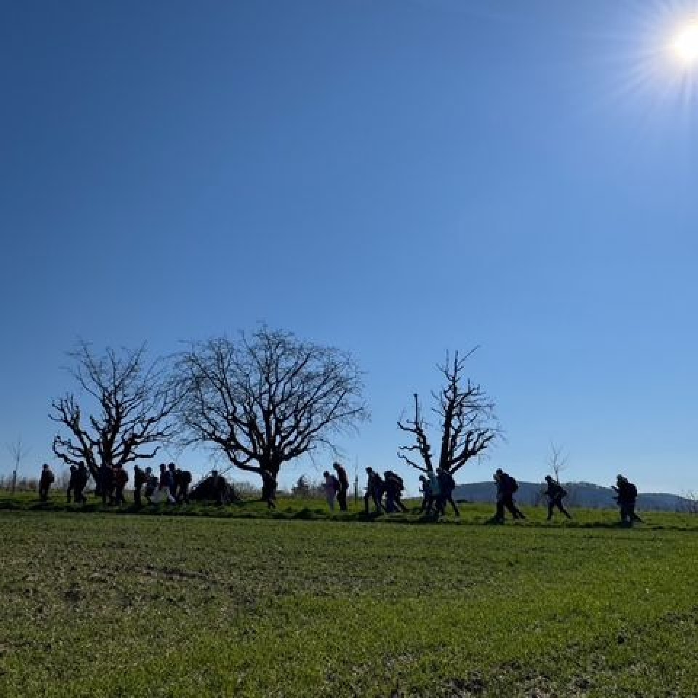 05_Unterwegs auf dem Buchberg