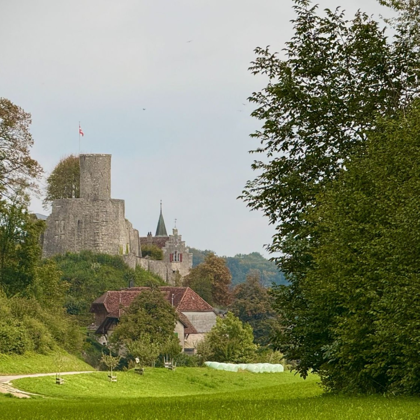 9-Schloss Niederbipp