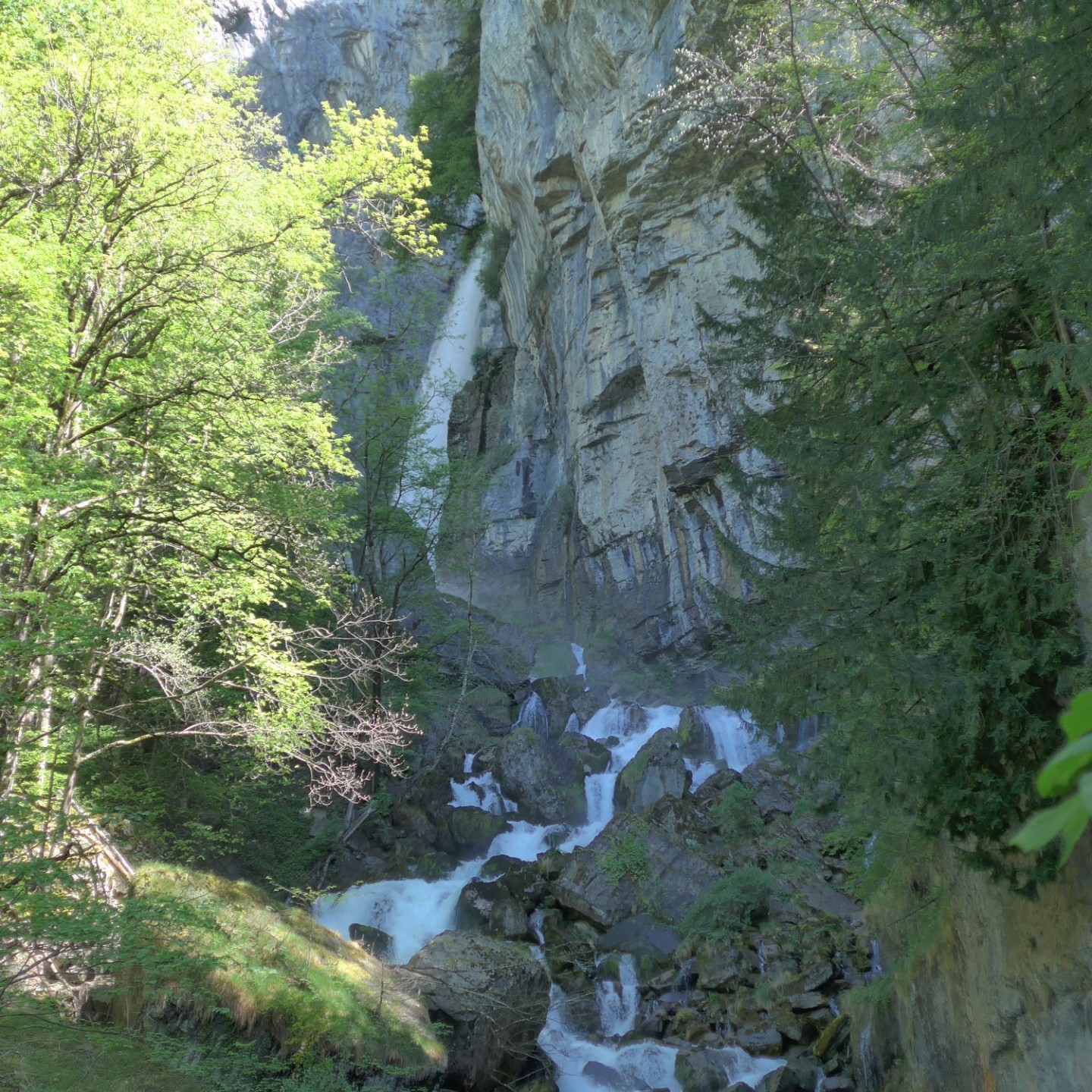05_Blick auf die Rinquelle von der Seerenbachbrücke