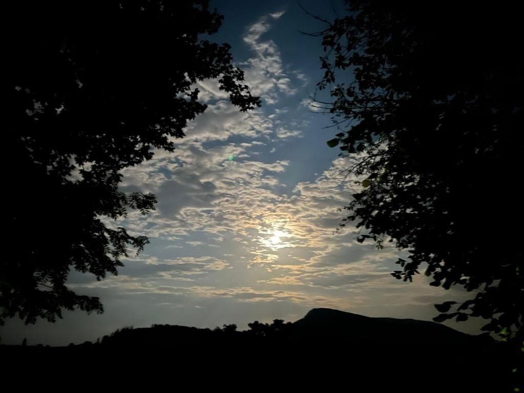 ~